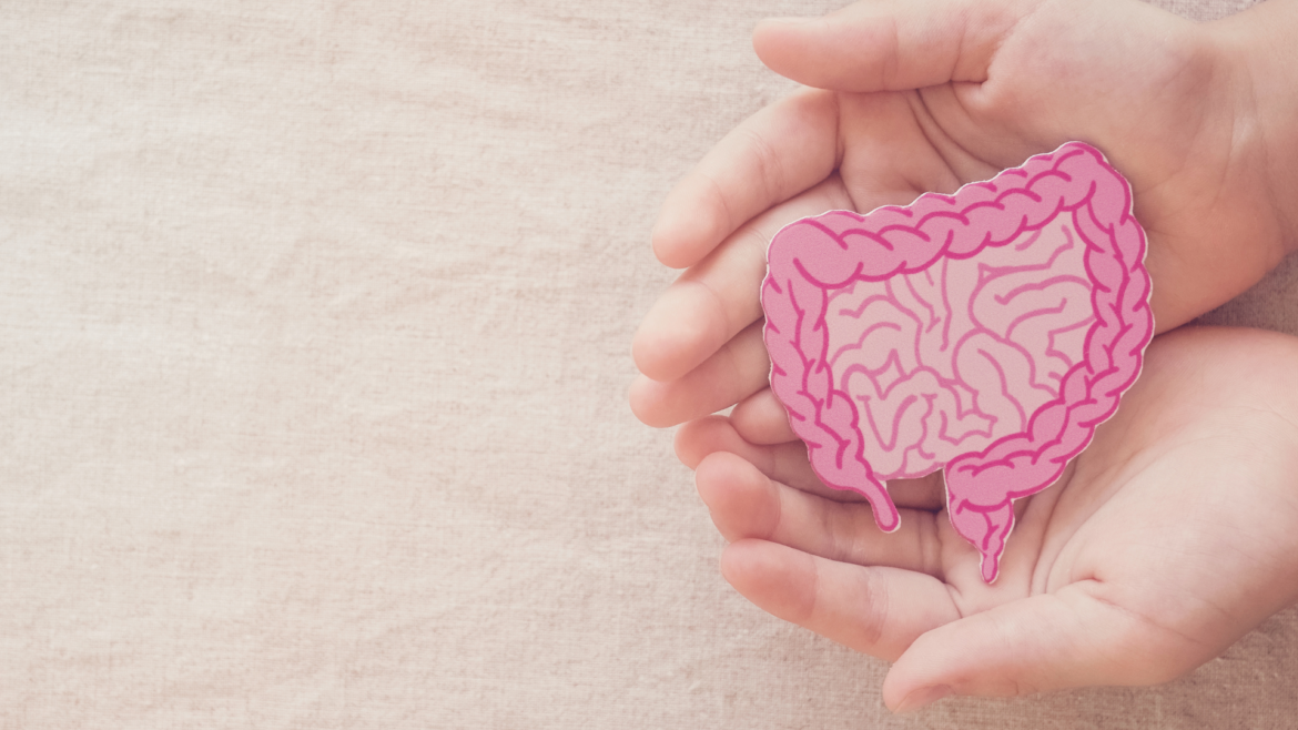 PERMÉABILITÉ INTESTINALE